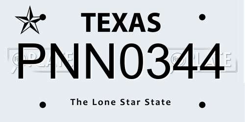 PNN0344 Texas License Plate
