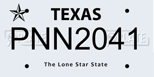 PNN2041 Texas License Plate
