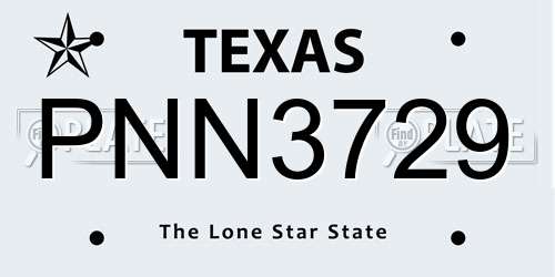 PNN3729 Texas License Plate