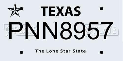 PNN8957 Texas License Plate