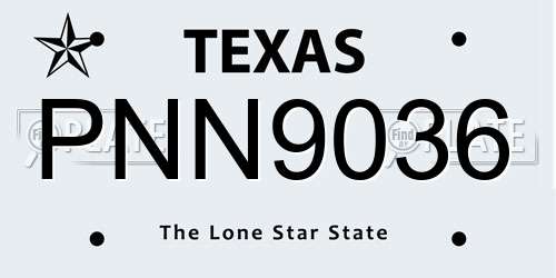 PNN9036 Texas License Plate