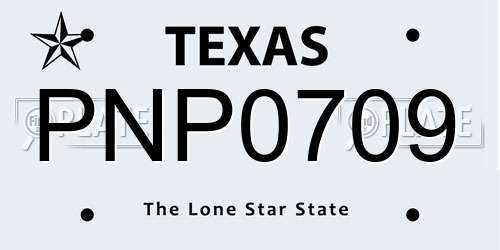 PNP0709 Texas License Plate