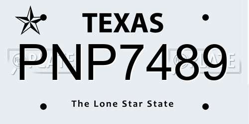 PNP7489 Texas License Plate