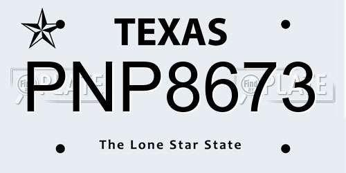 PNP8673 Texas License Plate