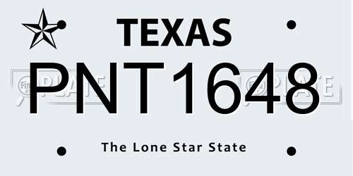 PNT1648 Texas License Plate