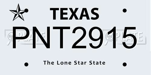 PNT2915 Texas License Plate