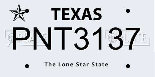 PNT3137 Texas License Plate