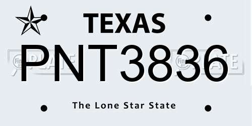 PNT3836 Texas License Plate