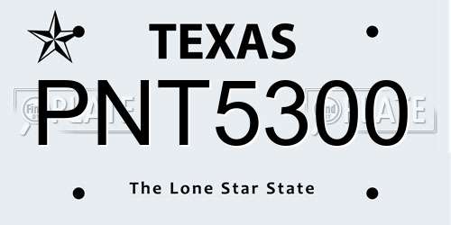 PNT5300 Texas License Plate
