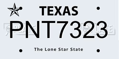 PNT7323 Texas License Plate
