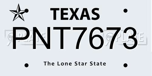 PNT7673 Texas License Plate