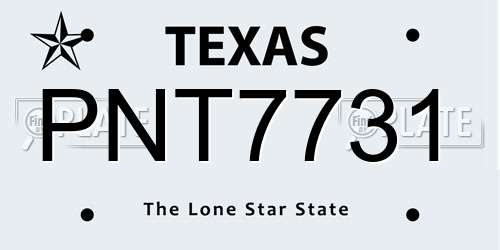 PNT7731 Texas License Plate