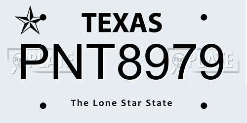 PNT8979 Texas License Plate