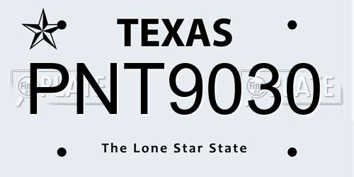 PNT9030 Texas License Plate