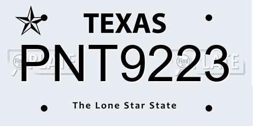 PNT9223 Texas License Plate