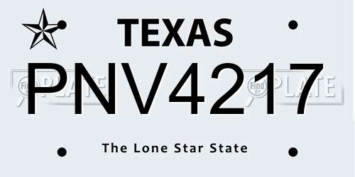 PNV4217 Texas License Plate