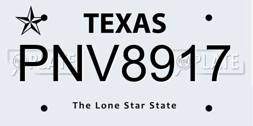 PNV8917 Texas License Plate