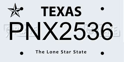 PNX2536 Texas License Plate