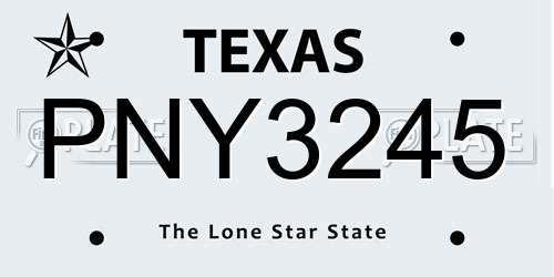 PNY3245 Texas License Plate