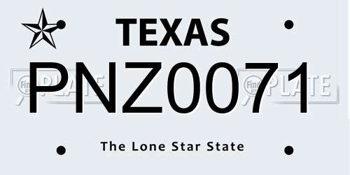 PNZ0071 Texas License Plate