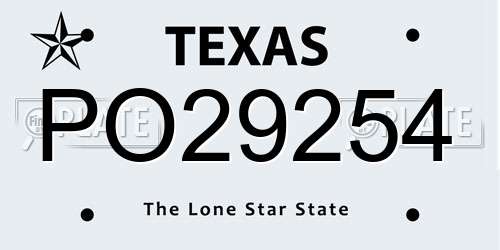 PO29254 Texas License Plate