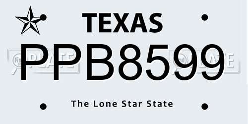 PPB8599 Texas License Plate