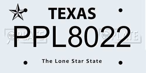 PPL8022 Texas License Plate