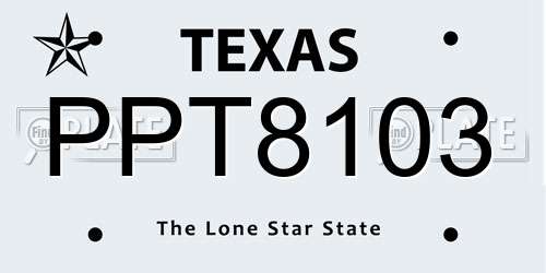 PPT8103 Texas License Plate
