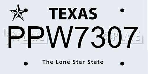 PPW7307 Texas License Plate