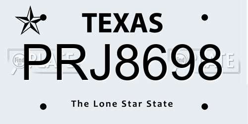 PRJ8698 Texas License Plate