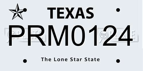 PRM0124 Texas License Plate