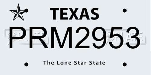 PRM2953 Texas License Plate