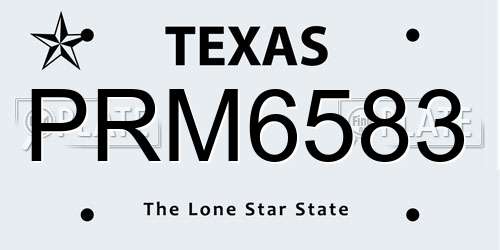 PRM6583 Texas License Plate
