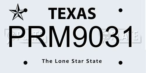 PRM9031 Texas License Plate