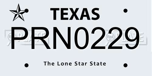 PRN0229 Texas License Plate