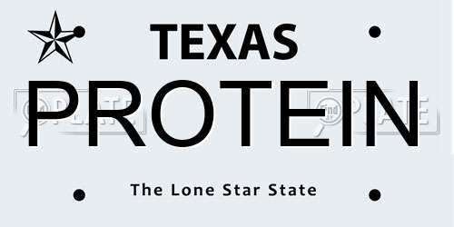PROTEIN Texas License Plate
