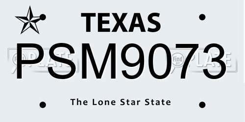 PSM9073 Texas License Plate