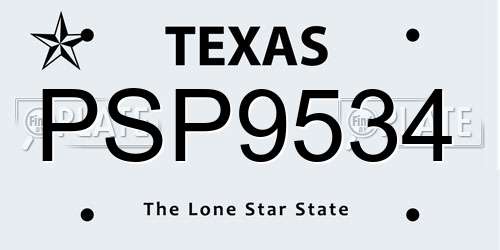 PSP9534 Texas License Plate