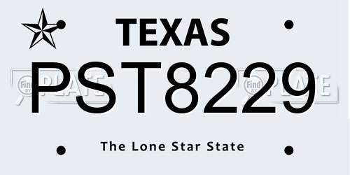 PST8229 Texas License Plate