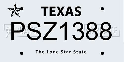 PSZ1388 Texas License Plate