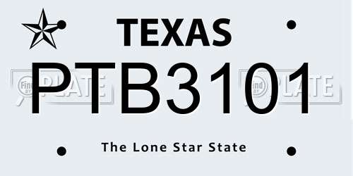 PTB3101 Texas License Plate