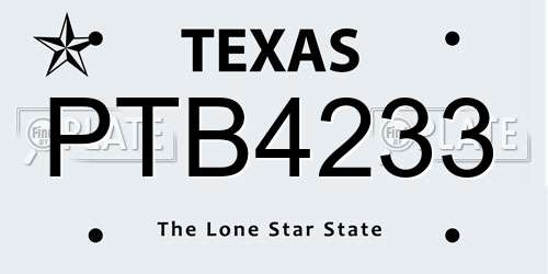 PTB4233 Texas License Plate