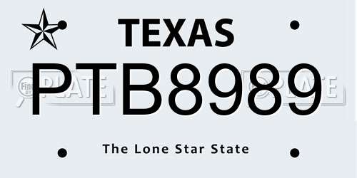 PTB8989 Texas License Plate