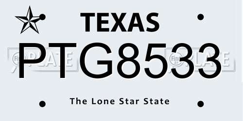 PTG8533 Texas License Plate