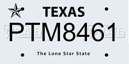 PTM8461 Texas License Plate
