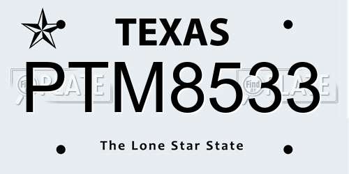 PTM8533 Texas License Plate