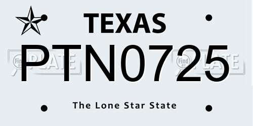 PTN0725 Texas License Plate
