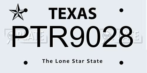 PTR9028 Texas License Plate