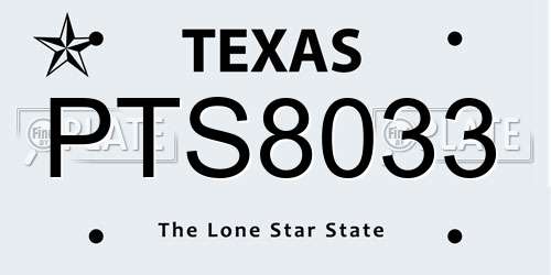 PTS8033 Texas License Plate