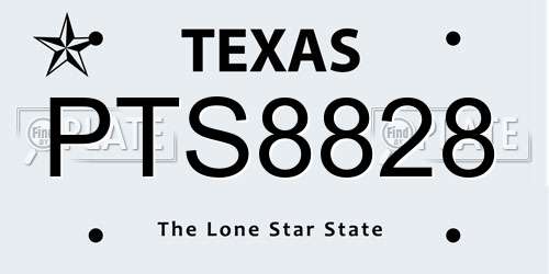 PTS8828 Texas License Plate